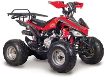 Квадроцикл Scorpion 110cc