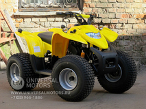 Фото: Квадроцикл ADLY ATV-50, 14649052682588930407