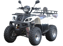 Квадроцикл ArmadA ATV 150B(10')