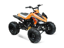 Фото: Квадроцикл IRBIS ATV110S