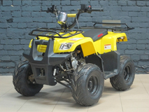 Квадроцикл IRBIS ATV70 U