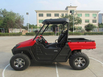 Фото: Bison UTV 600cc LUX, Тип двигателя 4-тактный