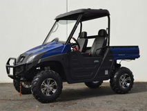 Фото: Bison UTV 600cc LUX, Количество мест 2