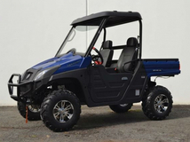 Фото: Bison UTV 600cc LUX