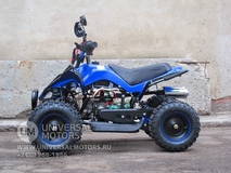 Фото: Квадроцикл Bison 50 mini, Тип двигателя 4-тактный