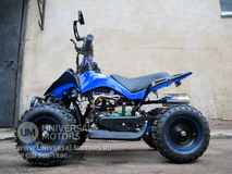 Фото: Квадроцикл Bison 50 mini, Рабочий объем 50 см³
