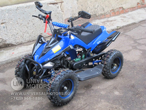 Фото: Квадроцикл Bison 50 mini, Максимальная скорость 30 км/ч
