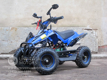 Фото: Квадроцикл Bison 50 mini, Год выпуска 2016