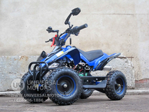 Фото: Квадроцикл Bison 50 mini, 36637117491184846598