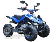 Фото: Квадроцикл Bison 50 mini