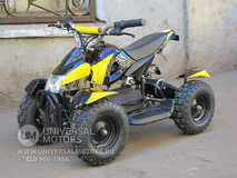 Фото: Квадроцикл Bison Electro 500, Максимальная скорость 20 км/ч