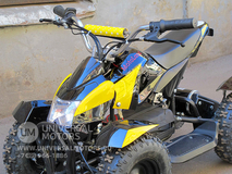 Фото: Квадроцикл Bison Electro 500, 3366102662471899749