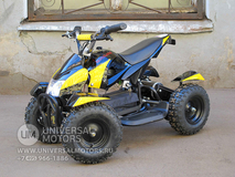 Фото: Квадроцикл Bison Electro 500, 3366102662199239446