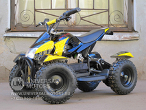 Фото: Квадроцикл Bison Electro 500, 33661026622095519616
