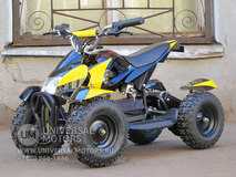 Фото: Квадроцикл Bison Electro 500, 33661026622464773804
