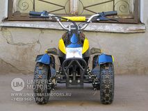 Фото: Квадроцикл Bison Electro 500, 33661026622072695705