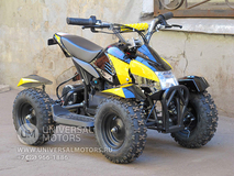 Фото: Квадроцикл Bison Electro 500, 33661026623718832235