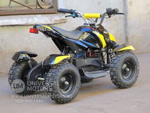 Фото: Квадроцикл Bison Electro 500, 3366102662885736798
