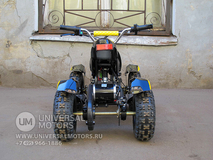 Фото: Квадроцикл Bison Electro 500, 33661026623300118826