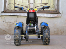 Фото: Квадроцикл Bison Electro 500, 33661026621524057225