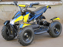 Фото: Квадроцикл Bison Electro 500