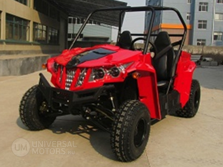 Фото: Bison UTV 150cc