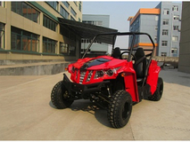 Фото: Bison UTV 150cc, Тип двигателя 4-тактный