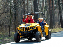 Фото: Bison UTV 150cc, Год выпуска 2016