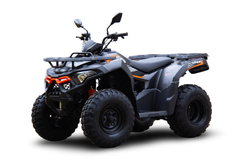 Квадроцикл Loncin XWOLF 200