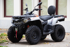 Фото: Квадроцикл Loncin XWOLF 300 Max, Число тактов 4