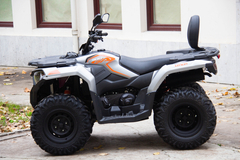 Фото: Квадроцикл Loncin XWOLF 300 Max, Количество мест 2