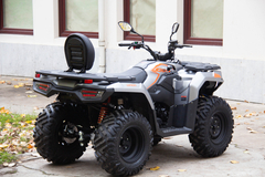 Фото: Квадроцикл Loncin XWOLF 300 Max, Ширина шины 8 ″