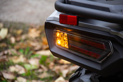 Фото: Квадроцикл Loncin XWOLF 300 Max, Число цилиндров 1
