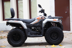 Фото: Квадроцикл Loncin XWOLF 300 Max, 2372157762000527085