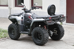 Фото: Квадроцикл Loncin XWOLF 300 Max, 2372157762920078684