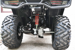 Фото: Квадроцикл Loncin XWOLF 300 Max, 2372157761051967693
