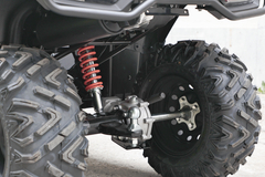 Фото: Квадроцикл Loncin XWOLF 300 Max, 237215776457513788