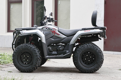 Фото: Квадроцикл Loncin XWOLF 300 Max, 2372157764072736292