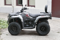 Фото: Квадроцикл Loncin XWOLF 300 Max, 2372157761808291742