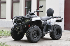 Фото: Квадроцикл Loncin XWOLF 300 Max, 2372157764229598742