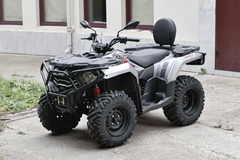 Фото: Квадроцикл Loncin XWOLF 300 Max, 2372157762631731187