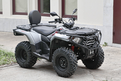 Фото: Квадроцикл Loncin XWOLF 300 Max, 2372157761004201499