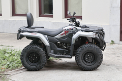 Фото: Квадроцикл Loncin XWOLF 300 Max, 2372157761269830292