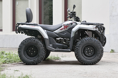 Фото: Квадроцикл Loncin XWOLF 300 Max, 2372157761018634754