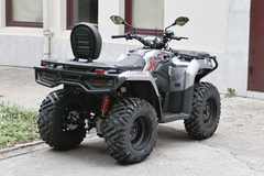 Фото: Квадроцикл Loncin XWOLF 300 Max, 237215776889286185