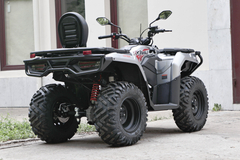 Фото: Квадроцикл Loncin XWOLF 300 Max, 2372157761439098828