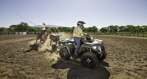 Фото: Квадроцикл Polaris Sportsman 500 H. O., 40976740511178635197