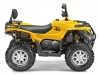 Фото: Квадроцикл STELS ATV 800D EFI EPS, Тип масла в двигателе 10w40