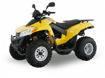 Фото: Квадроцикл SYM QuadLander 250, Тип двигателя 4-тактный