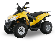 Фото: Квадроцикл SYM QuadLander 250, Диаметр колеса 10 ″